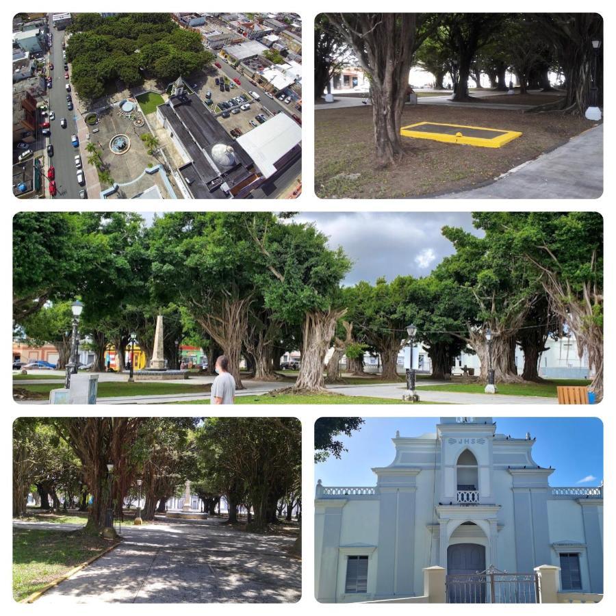 Lacasitadelmalecon Naguabo Eksteriør bilde